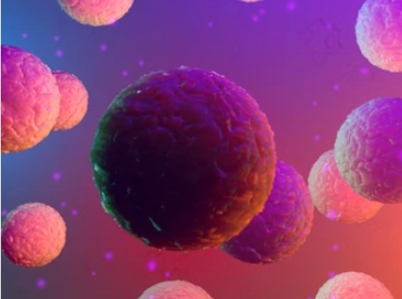 Controls and Reference Materials for Genomic Analysis in Cancer and Genetic Diseases