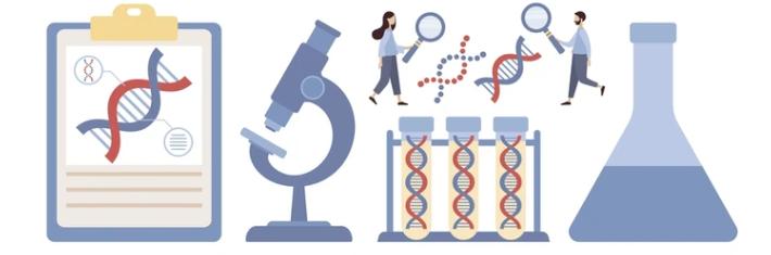Rare Disease Genomics