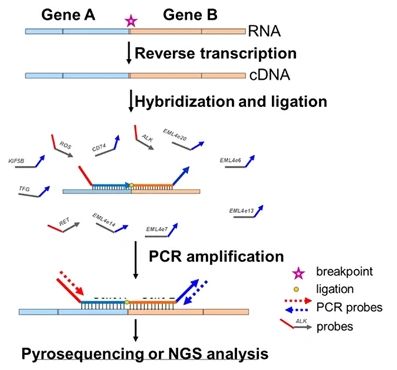 Virus RT-qPCR assay