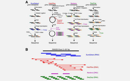 Overview of Gene Target Enrichment Methods for Disease Research