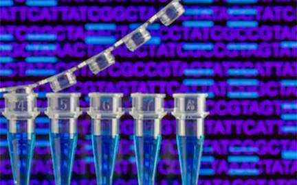 How Does Amplicon Based Target Enrichment Work for Disease Panel