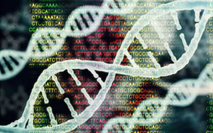 How to Analyze the Amplicon Sequencing Data in Disease Panels