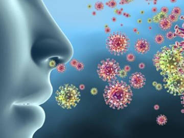 Respiratory Virus Panel Products