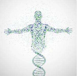 SNP Panel and Sequencing