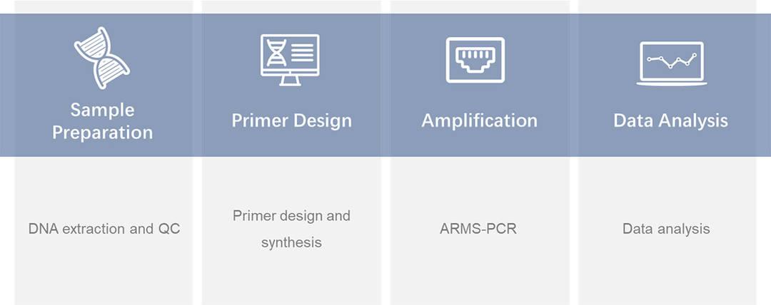 CD Genomics ARMS-PCR Service