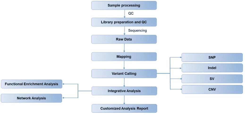 CD Genomics Solid Tumor Whole Genome Sequencing