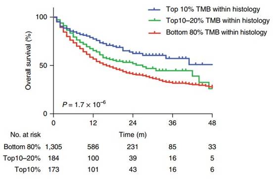 Tumor Mutational Burden Analysis