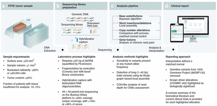 Workflow for cancer genomic profiling tests based on NGS (Next-Generation Sequencing) (Frampton, G. M. et al, 2013)
