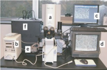 An overview of detecting somatic point mutations with MuTect (Cibulskis, K. et al,2013)