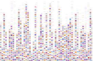 Epigenomic Peak Calling and Annotation