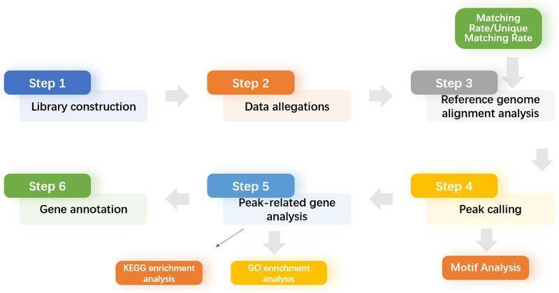 Service process