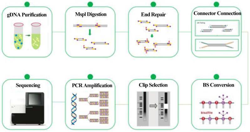 Technology Process