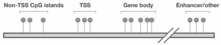 Figure 3: Genomic coverage of mouse DNA methylation sites.