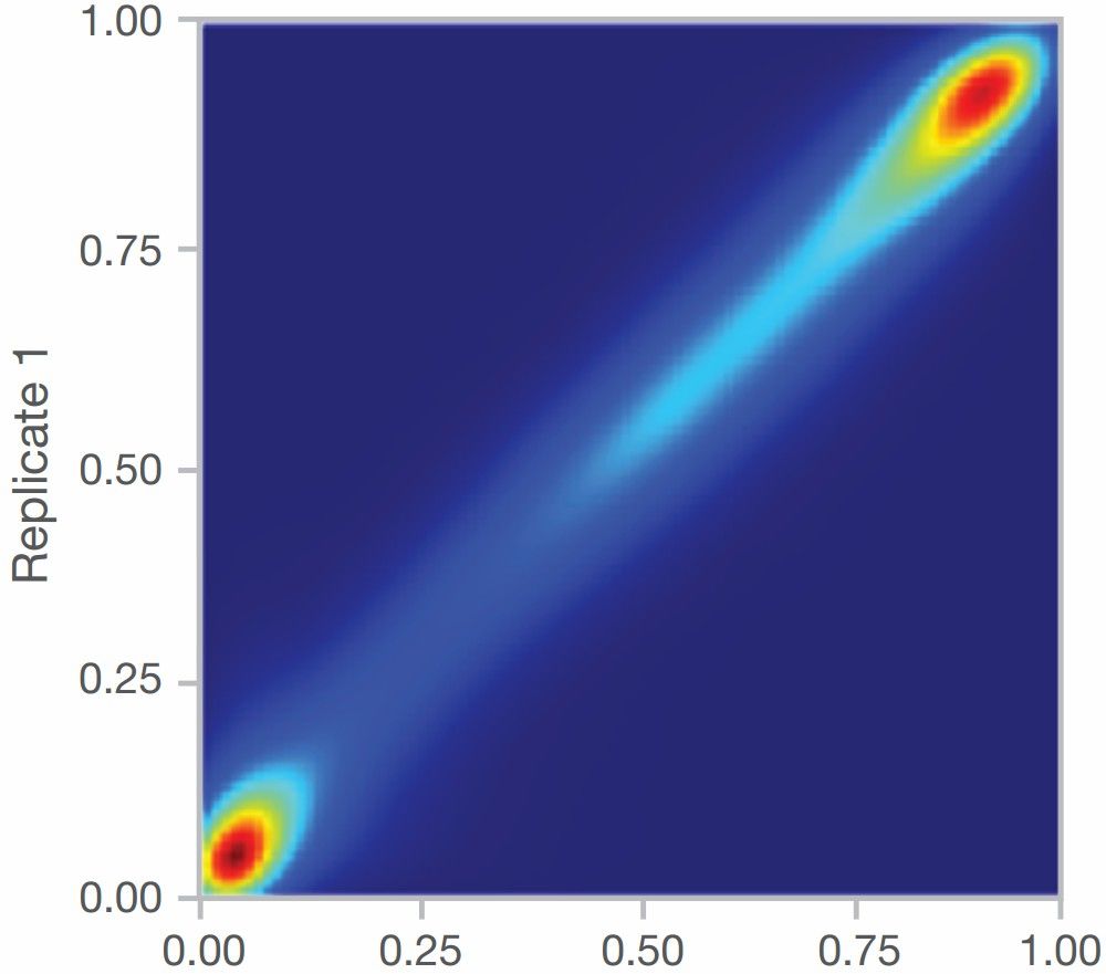 Figure 4: Correlation graph of technical replicates for DNA methylation analysis.