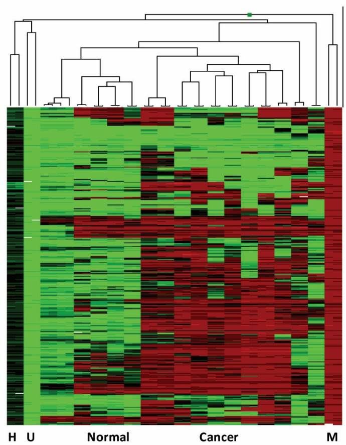 Figure5: Heatmap of DNA methylation patterns.