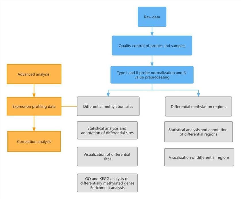 Figure 6: DNA methylation data analysis.