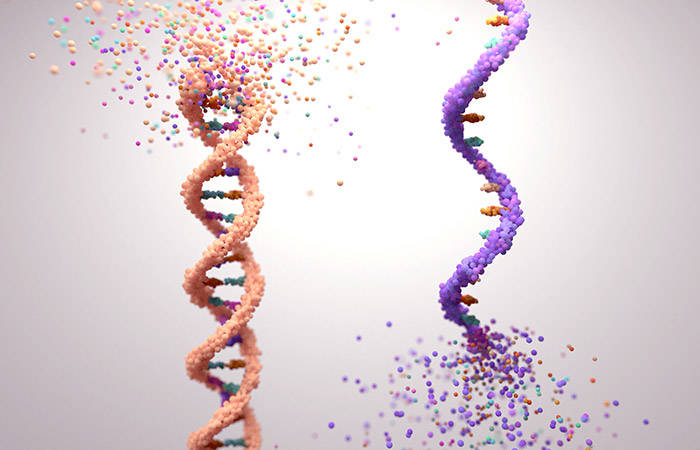 MeRIP-Seq