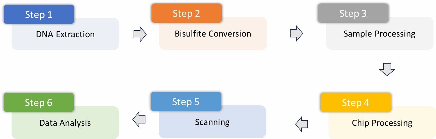 Workflow diagram for CD Genomics MSA 270K Service.