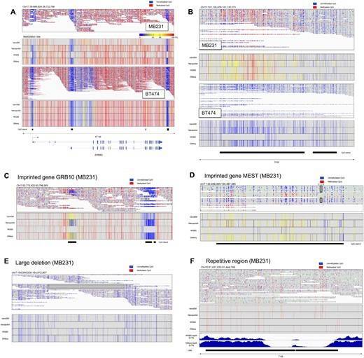 Methylation patterns of several genes and regions.