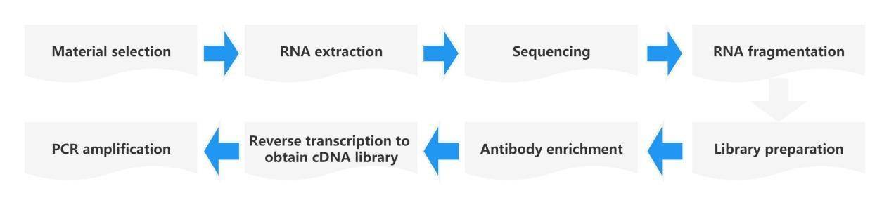 m1A-seq Analysis Workflow