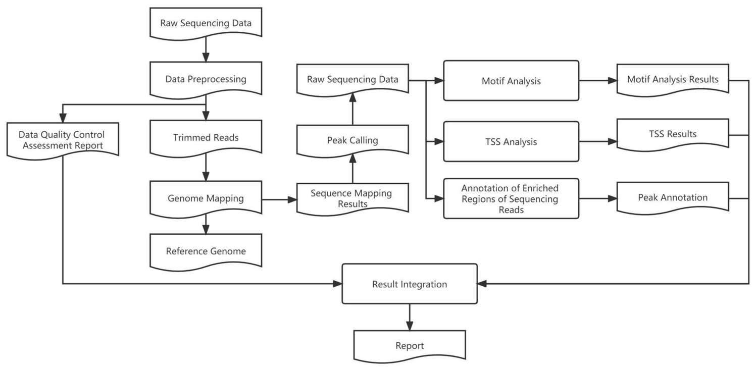 RNA m7G Methylation Sequencing