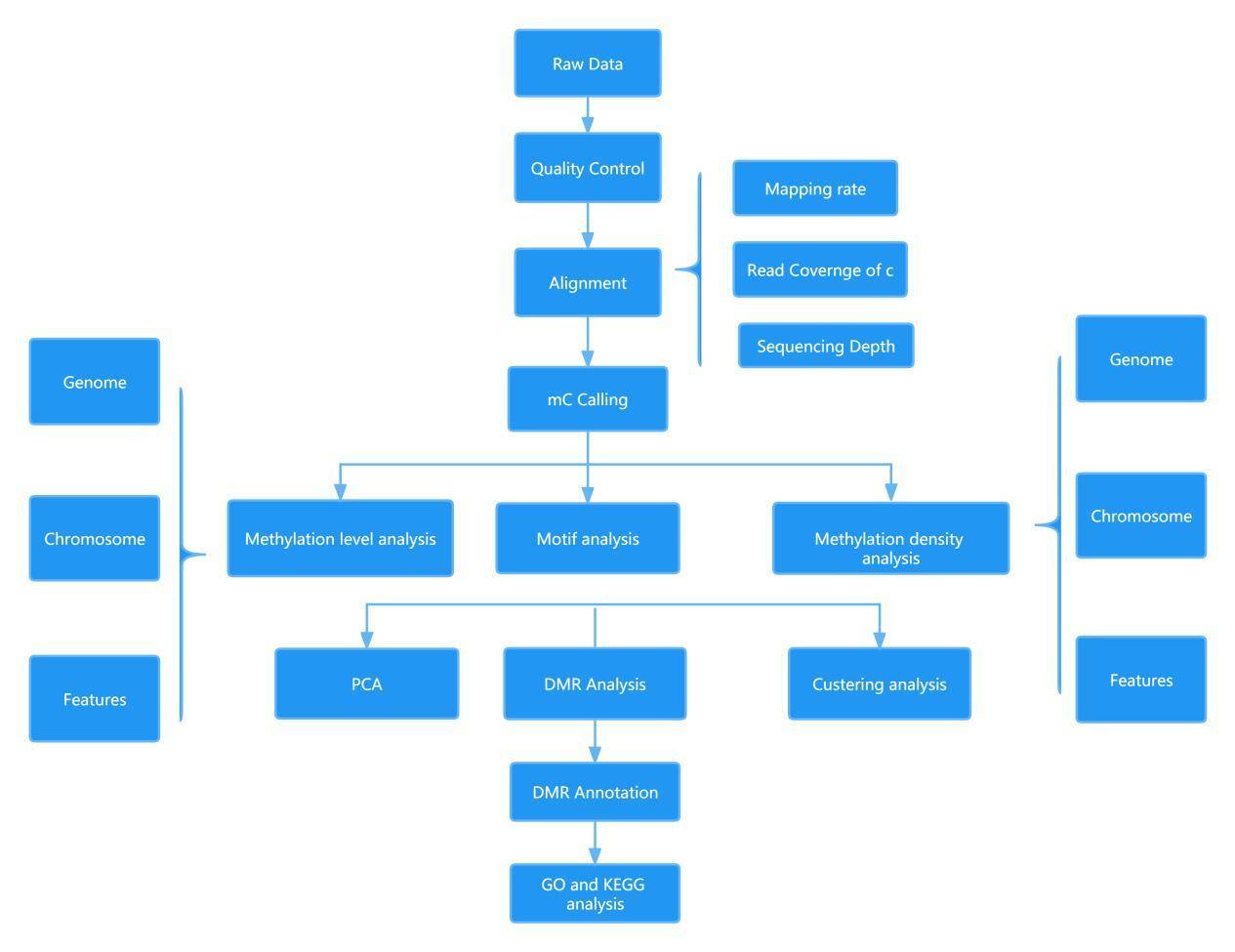 Methyl Seq Service