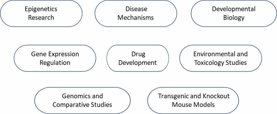 Mouse CpG Island Microarray Applications.