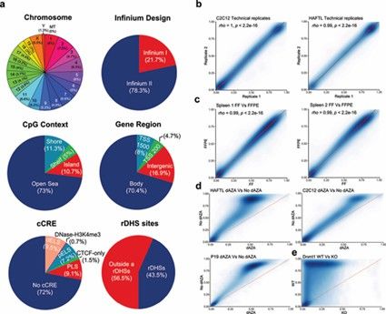 Technical and Biological Validation of CpG Sites in Mouse DNA Methylation Microarray (Garcia-Prieto, Carlos A., et al., 2022).