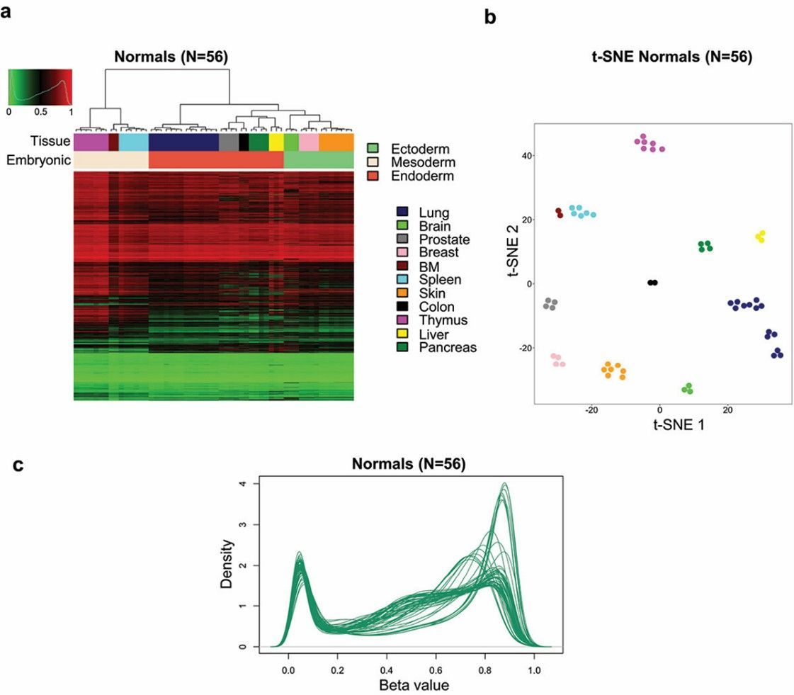 DNA Methylation Atlas for Normal Mouse Tissues (Garcia-Prieto, Carlos A., et al., 2022)