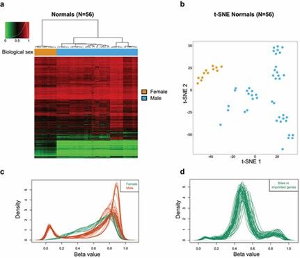 Mouse DNA Methylation Mapping by Biological Sex, X-Chromosome, and Imprinted CpG Sites (Garcia-Prieto, Carlos A., et al., 2022)
