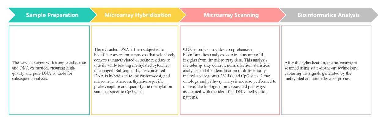 Mouse DNA Methylation Microarray Service Workflow