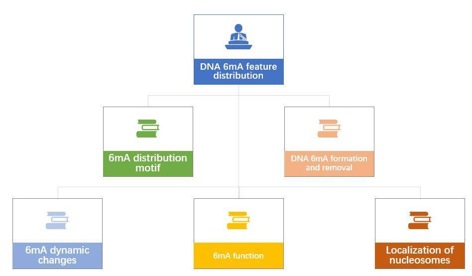 Scientific program design