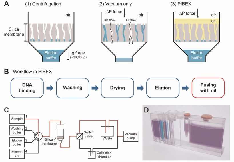 How to Extract cfDNA