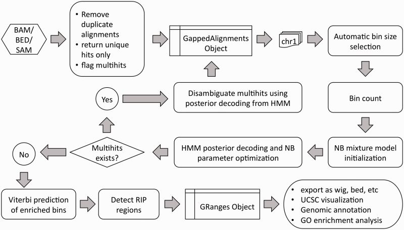 The detailed workflow of RIPSeeker (Flamand et al., 2022)