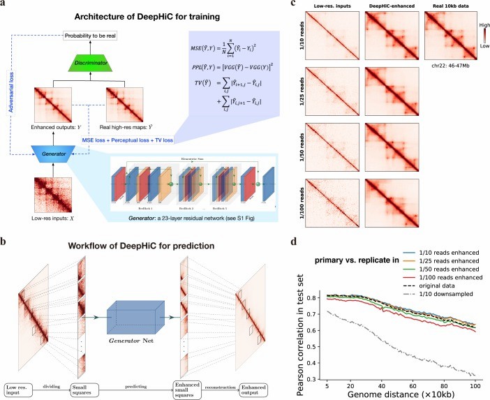 Advanced Hi-C Data Analysis: Tools for Deep Insights