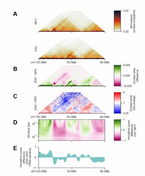 Overview of FAN-C Matrix (Kai et al., 2020)