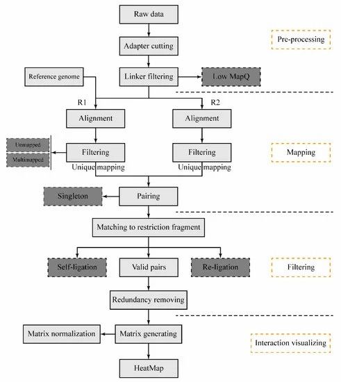 The schematic workflow for the DLO Hi-C tool (Hong et al., 2020)