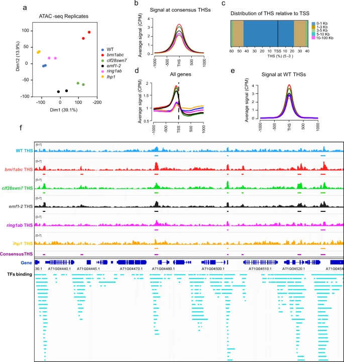 Figure 1: ATAC-seq mapping in Arabidopsis showing consensus THSs co-localizing with transcriptional regulation hotspots