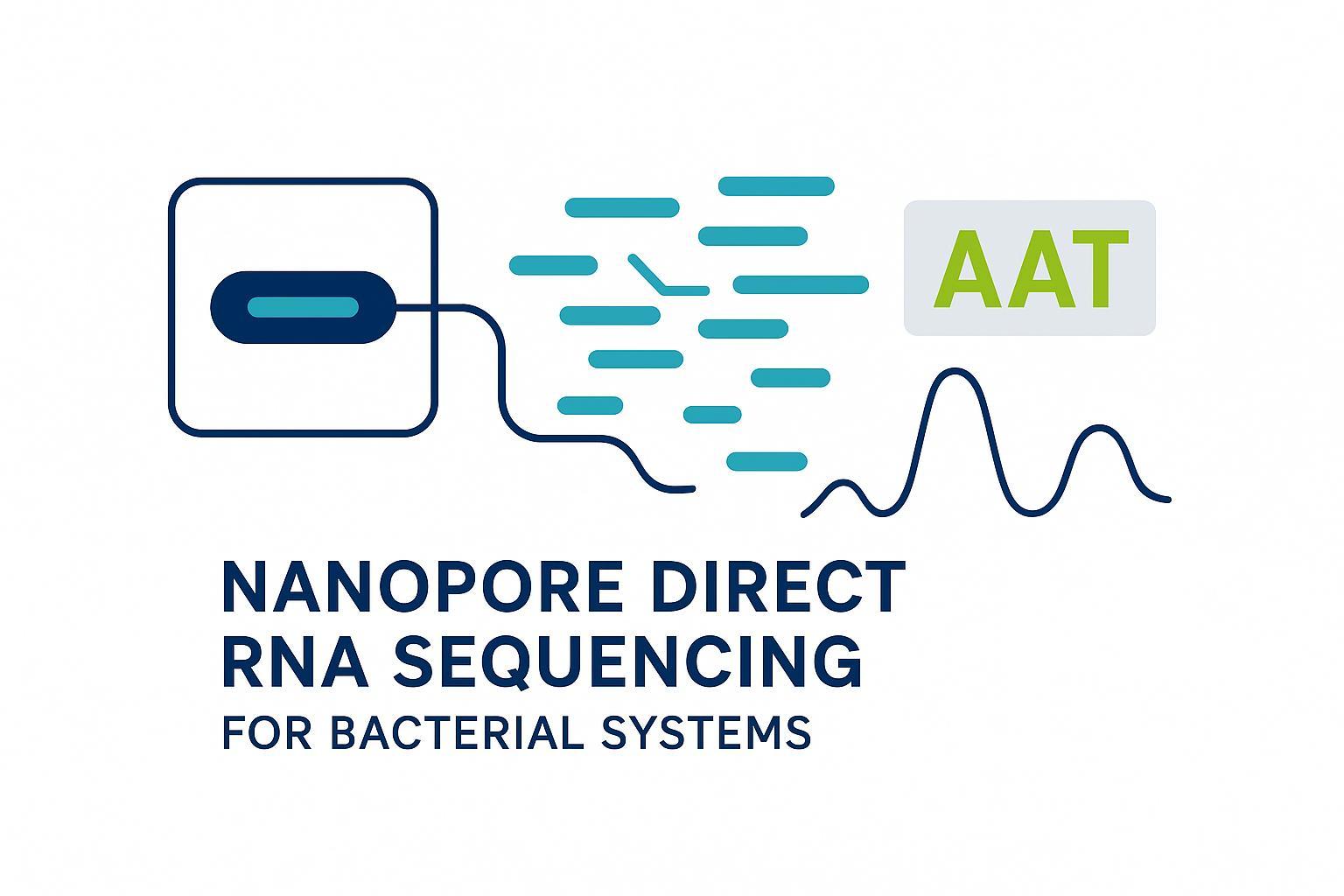 Can Nanopore Direct RNA Sequencing Be Used for Bacterial RNA? Study Design for Small, AT‑Rich Genomes