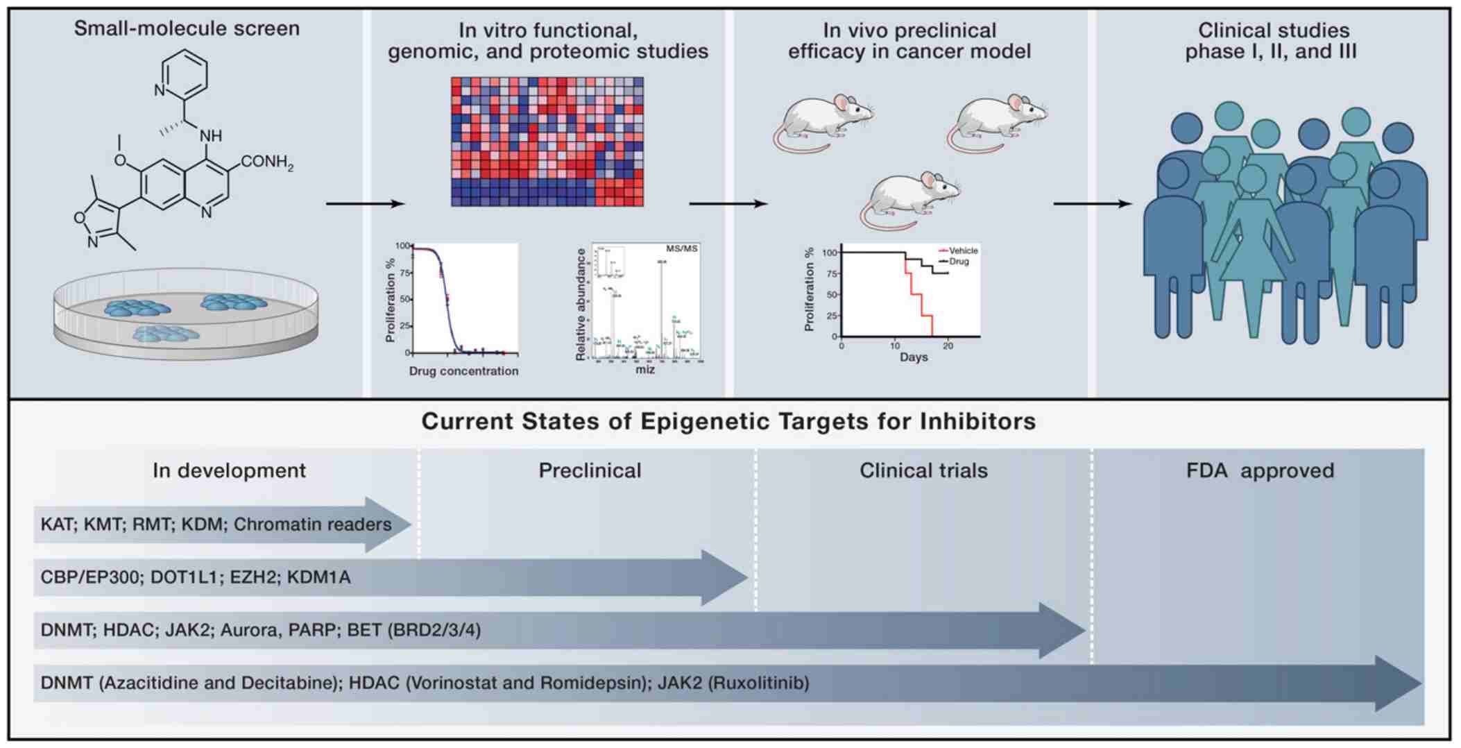 Overview of pharmacological agents targeting epigenetic mechanisms for cancer treatment (Dawson & Tony, 2012)