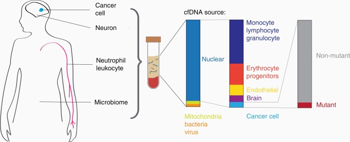 A hitchhiker’s guide to cell-free DNA biology (Florent Mouliere al.,2022)