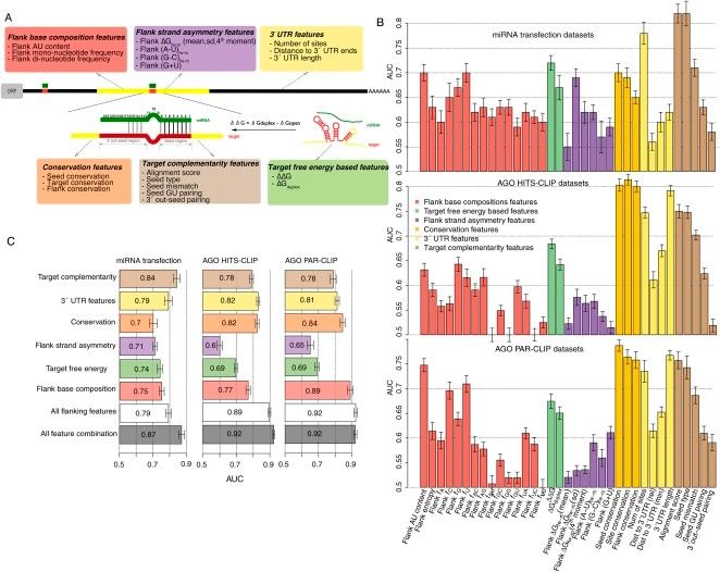 The predictive power of both individual miRNA-target features and their combinations (Wen et al., 2011)