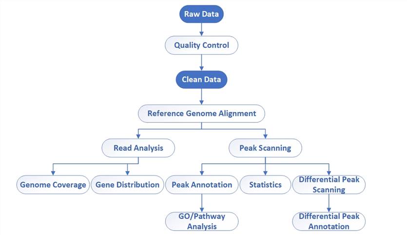 Bioinformatics workflow of DAP-Seq