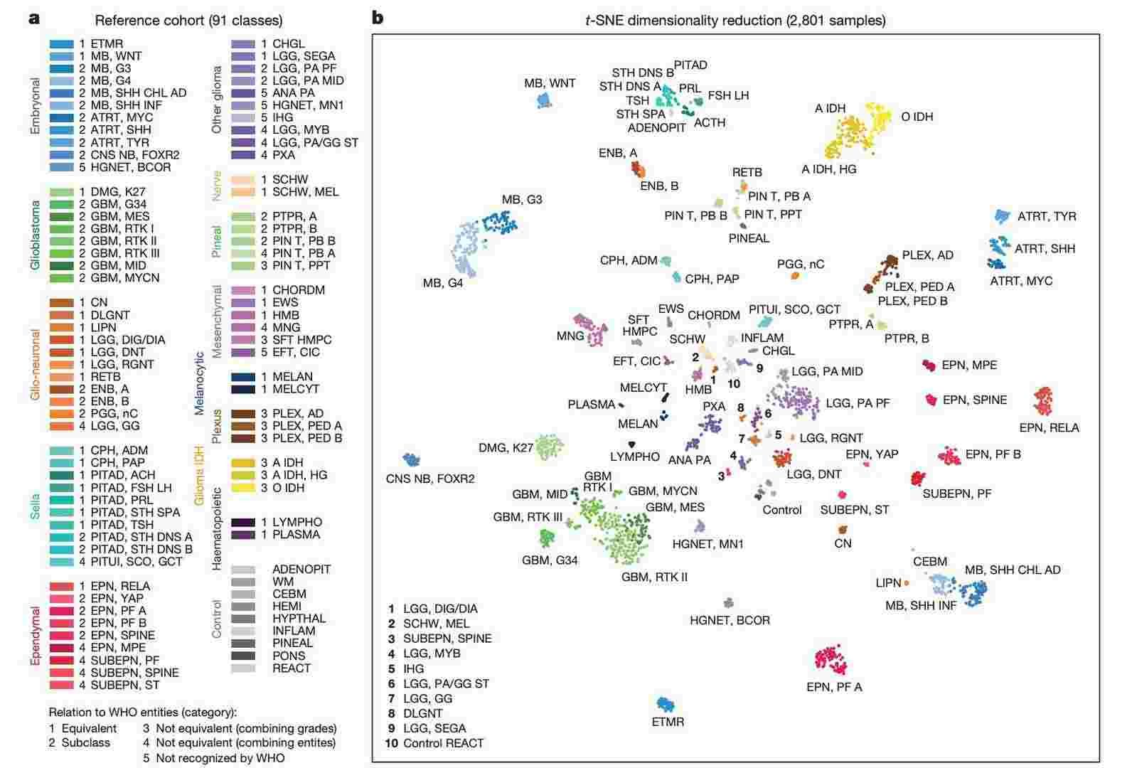 CNS tumor molecular taxonomy derived from methylation signatures (Capper et al., 2018)