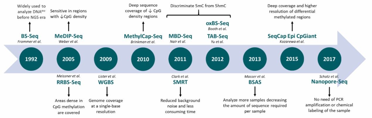 DNA Methylation Array Development: Evolution, Innovation, and Future Trends