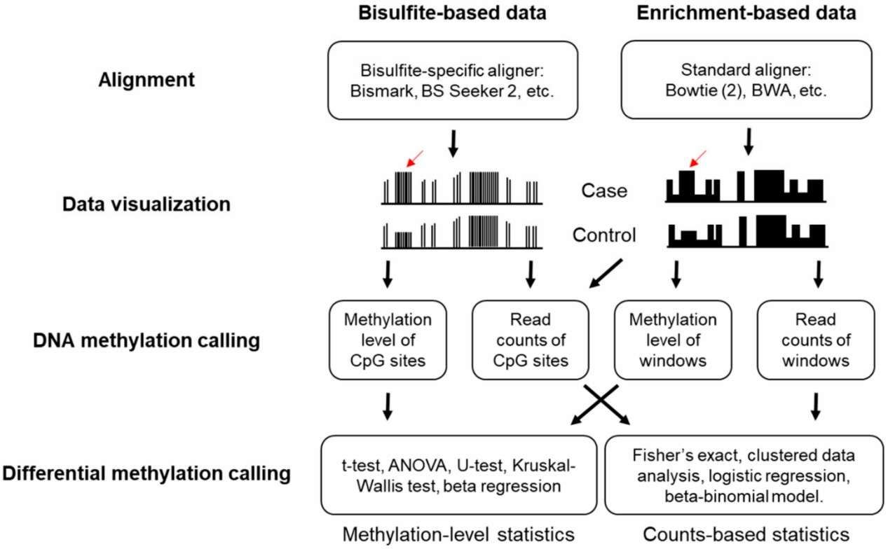 Bioinformatics workflow for methylation sequencing data processing and interpretation (Huang et al., 2019)
