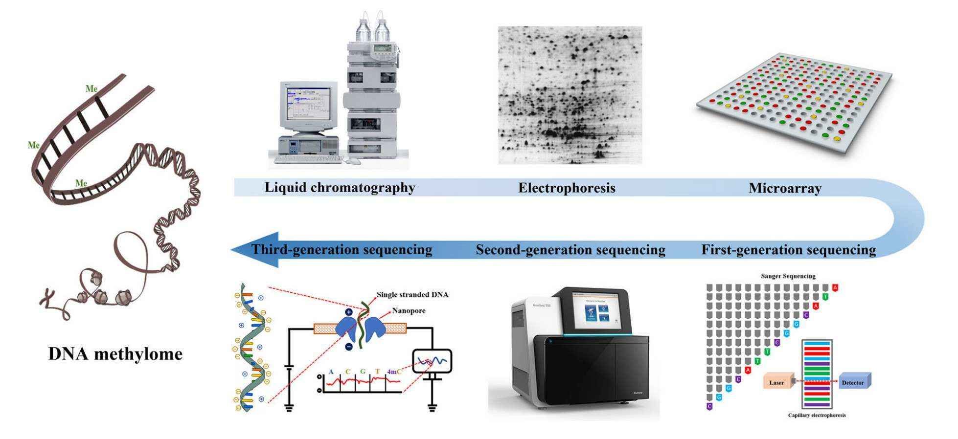 Chronological development of DNA methylation analysis methodologies (Li et al., 2021)