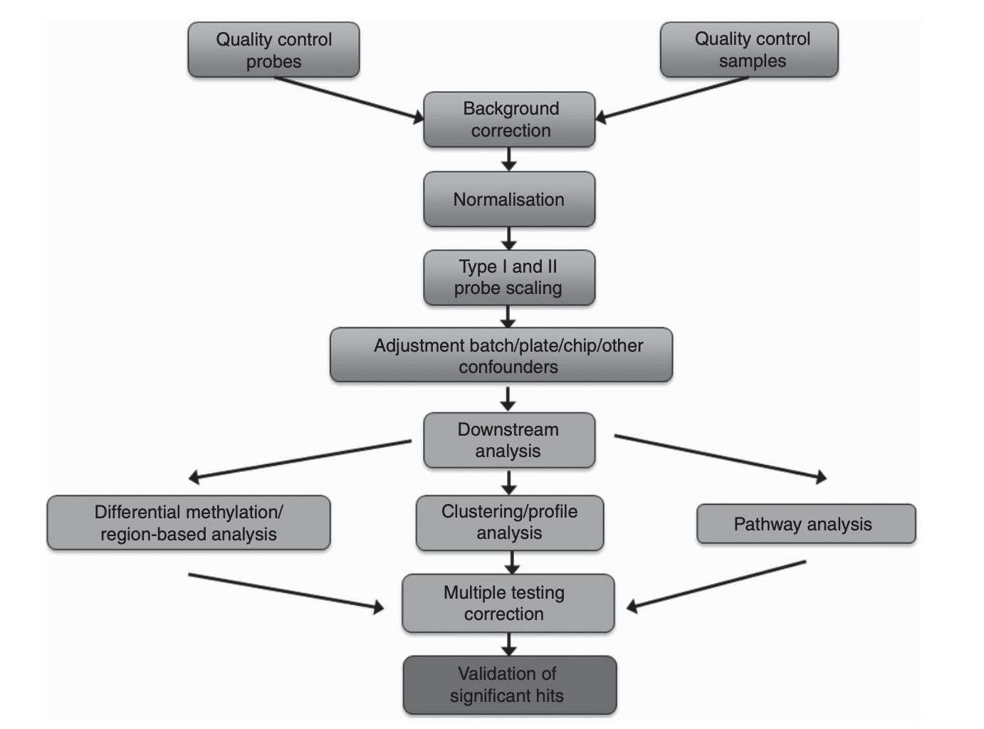 Bioinformatic pipeline for bisulfite-treated genomic DNA methylation evaluation (Wreczycka et al., 2017)