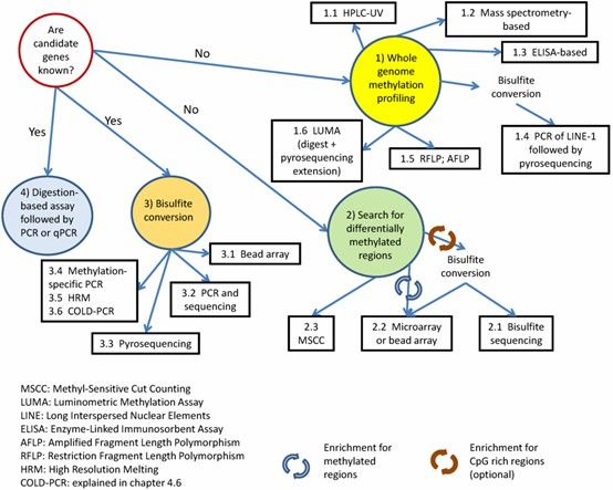 Illustration of DNA methylation. (Parveen, et al., Frontiers in Endocrinology, 2021)