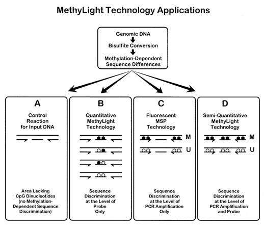 Schematic illustration of the MethyLight technology principle. (Eads, Cindy A., et al., 2000)